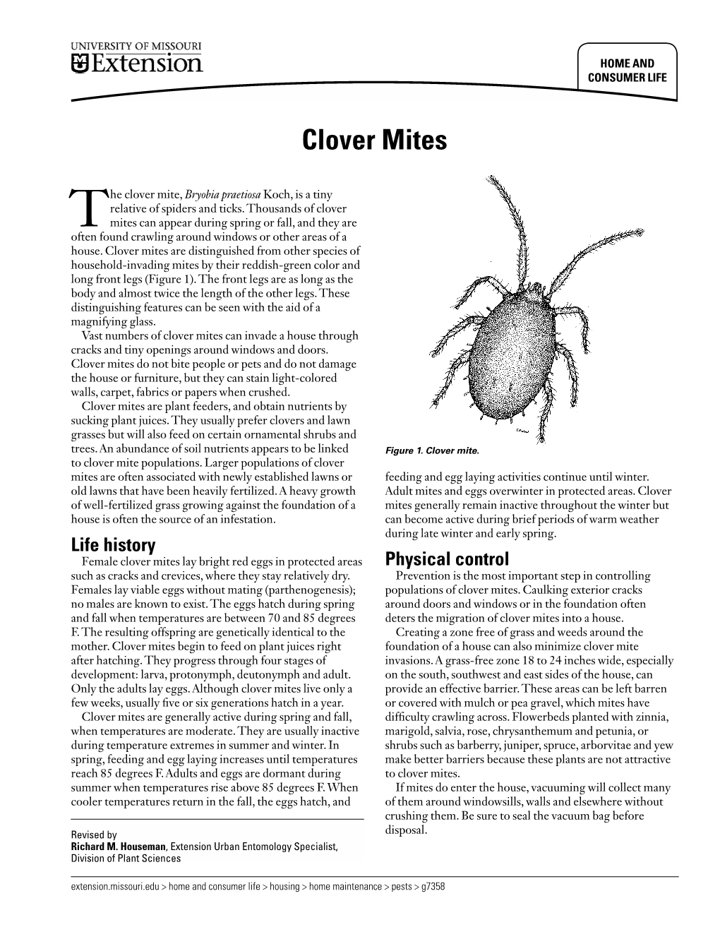 Clover Mites