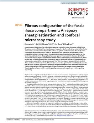 Fibrous Configuration of the Fascia Iliaca Compartment: an Epoxy Sheet