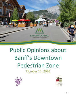 Public Opinions About Banff's Downtown Pedestrian Zone