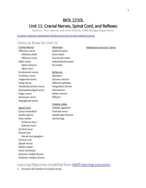 Unit 11 Cranial Nerves, Spinal Cord, and Reflexes