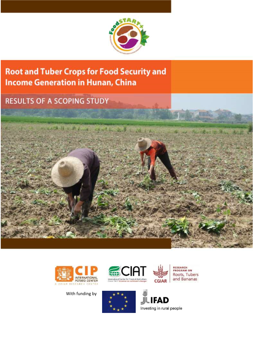 Root and Tuber Crops for Food Security and Income Generation in Hunan, China: Results of a Scoping Study