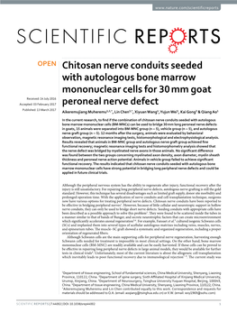 Chitosan Nerve Conduits Seeded with Autologous Bone Marrow