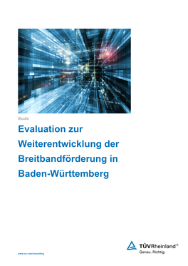 Evaluation Zur Weiterentwicklung Der Breitbandförderung in Baden-Württemberg