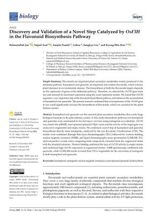 Discovery and Validation of a Novel Step Catalyzed by Osf3h in the Flavonoid Biosynthesis Pathway