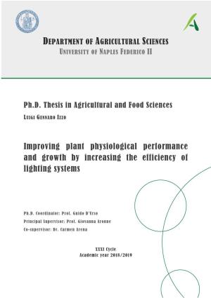 Improving Plant Physiological Performance and Growth by Increasing the Efficiency of Lighting Systems