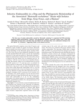 Bartonella Rochalimae” Strain with Isolates from Dogs, Gray Foxes, and a Humanᰔ Jennifer B