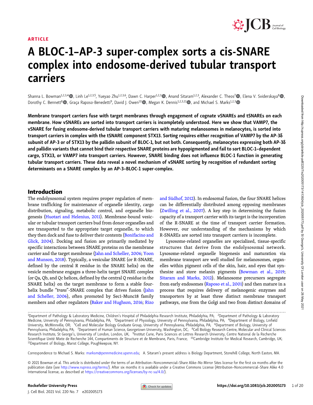 A BLOC-1–AP-3 Super-Complex Sorts a Cis-SNARE Complex Into