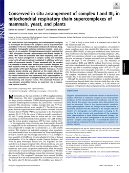 Conserved in Situ Arrangement of Complex I and III2 in Mitochondrial Respiratory Chain Supercomplexes of Mammals, Yeast, and Plants