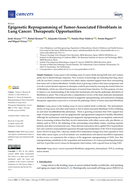 Epigenetic Reprogramming of Tumor-Associated Fibroblasts in Lung Cancer: Therapeutic Opportunities
