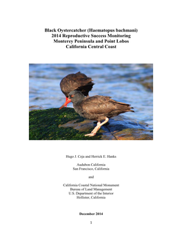 Black Oystercatcher 2014 Reproductive Success Monitoring