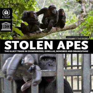 Stolen Apes – the Illicit Trade in Chimpan- Zees, Gorillas, Bonobos and Orangutans