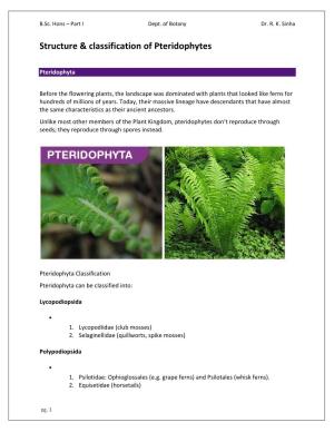 Structure & Classification of Pteridophytes