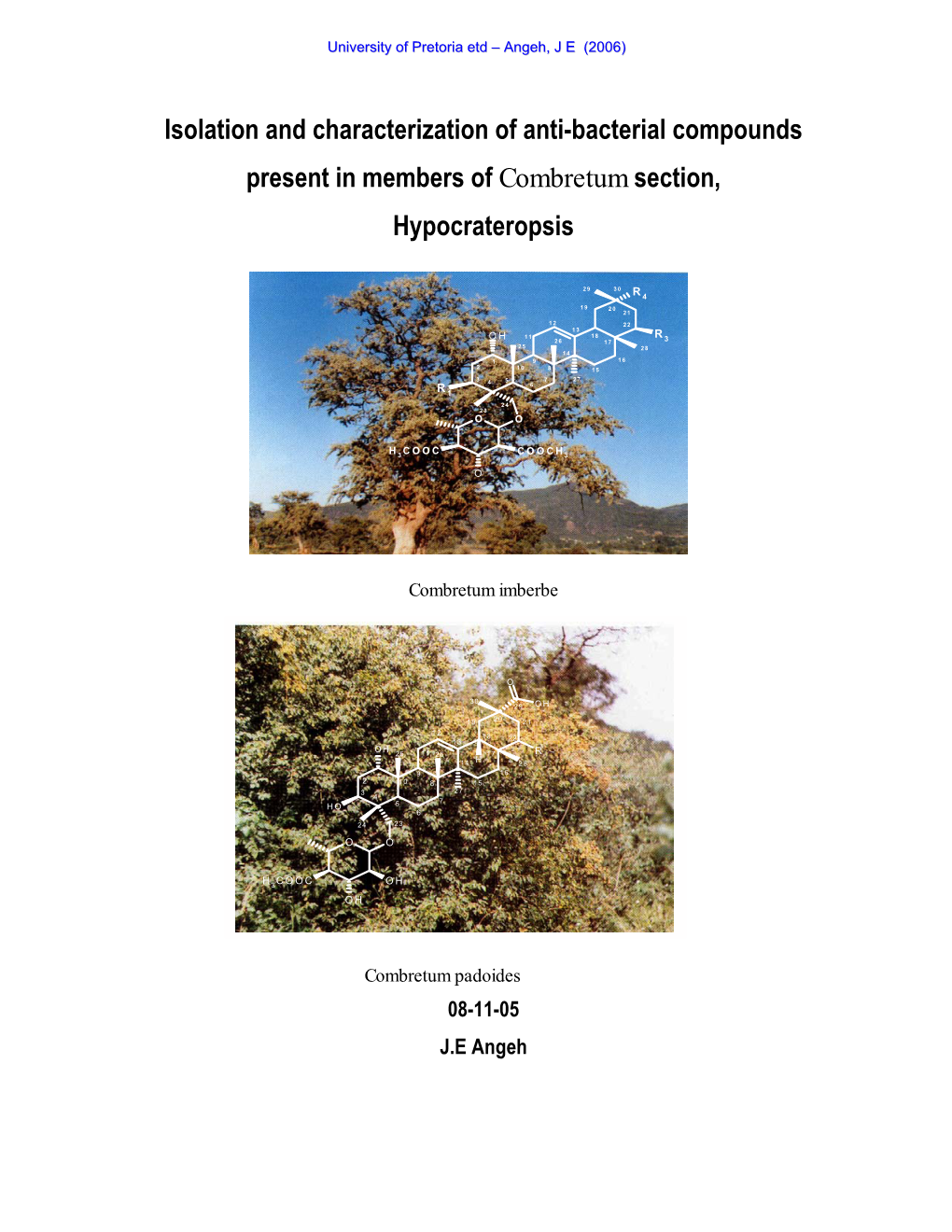 Isolation and Characterization of Anti-Bacterial Compounds Present in Members of Combretum Section, Hypocrateropsis