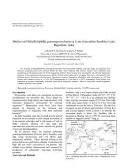 Studies on Haloalkaliphilic Gammaproteobacteria from Hypersaline Sambhar Lake, Rajasthan, India