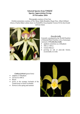 Selected Species from NMQOC Species Appreciation Group 19 November 2016