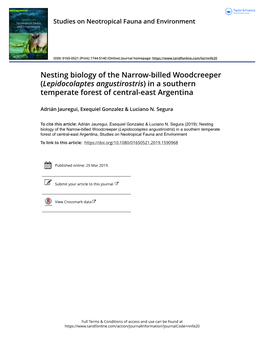 Lepidocolaptes Angustirostris) in a Southern Temperate Forest of Central-East Argentina