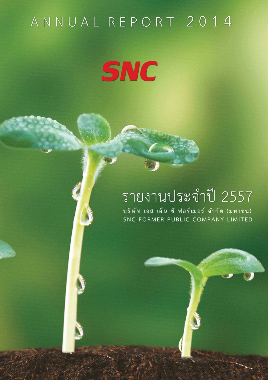 SNC Former Public Company Limited and Its Subsidiaries