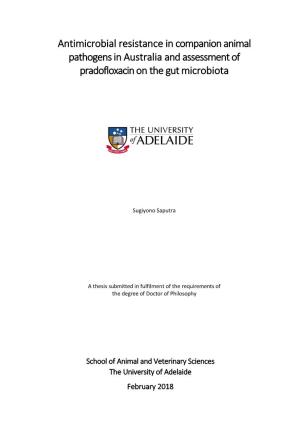 Antimicrobial Resistance in Companion Animal Pathogens in Australia and Assessment of Pradofloxacin on the Gut Microbiota