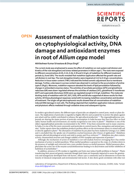Assessment of Malathion Toxicity on Cytophysiological Activity, DNA Damage and Antioxidant Enzymes in Root of Allium Cepa Model