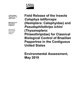 Field Release of the Insects Calophya Latiforceps