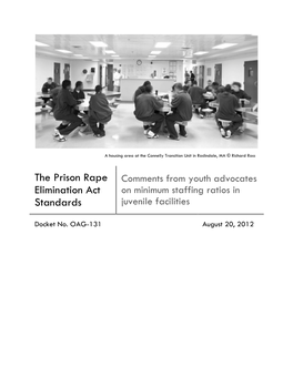 The Prison Rape Elimination Act Standards – Comments from Youth Advocates on Minimum Staffing Ratios in Juvenile