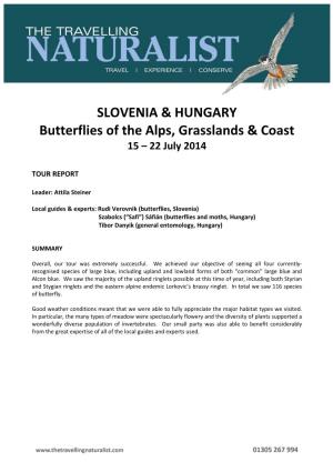 SLOVENIA & HUNGARY Butterflies of the Alps, Grasslands & Coast