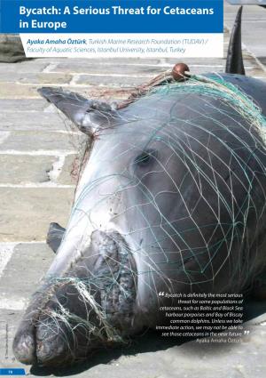 Bycatch: a Serious Threat for Cetaceans in Europe