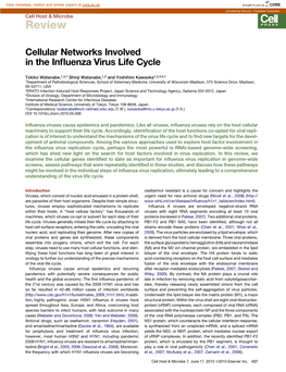 Cellular Networks Involved in the Influenza Virus Life Cycle