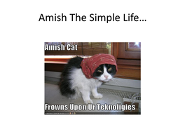 Amish the Simple Life…