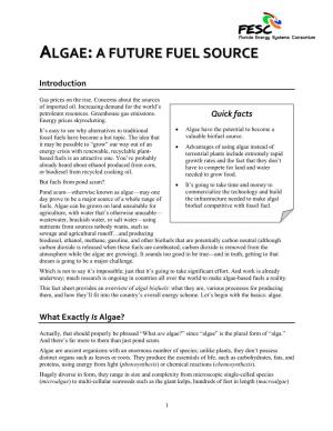 Algae:A Future Fuel Source