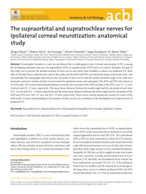 The Supraorbital and Supratrochlear Nerves for Ipsilateral Corneal Neurotization: Anatomical Study