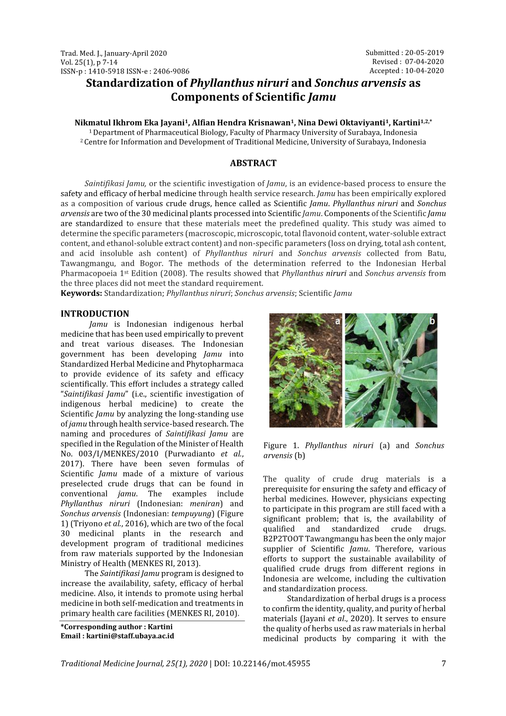 Standardization of Phyllanthus Niruri and Sonchus Arvensis As Components of Scientific Jamu