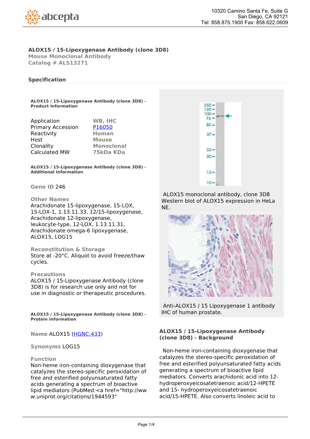 ALOX15 / 15-Lipoxygenase Antibody (Clone 3D8) Mouse Monoclonal Antibody Catalog # ALS13271