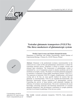 Vesicular Glutamate Transporters (Vgluts): the Three Musketeers of Glutamatergic System