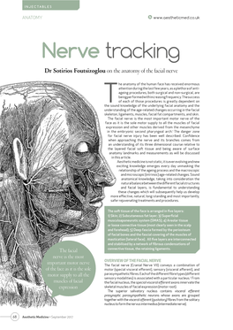 Anatomy-Nerve Tracking