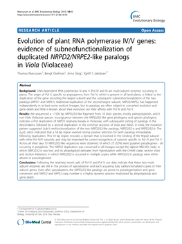 Evolution of Plant RNA Polymerase IV/V Genes: Evidence Of