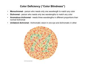 Color Deficiency (“Color Blindness”)