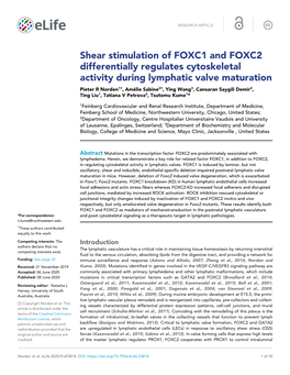 Shear Stimulation of FOXC1 and FOXC2 Differentially Regulates