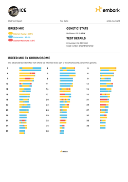 DNA-Test-Example-1.Pdf