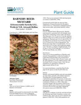Plant Guide for Barneby Reed-Mustard (Schoenocrambe Barnebyi)