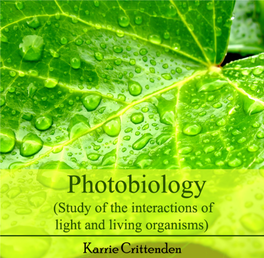 Chapter 1 Photosynthesis