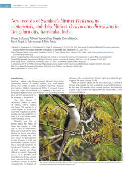 New Records of Swinhoe's Minivet Pericrocotus Cantonensis, and Ashy Minivet Pericrocotus Divaricatus in Bengaluru City, Karnat