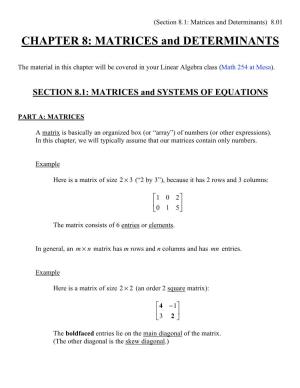CHAPTER 8: MATRICES and DETERMINANTS
