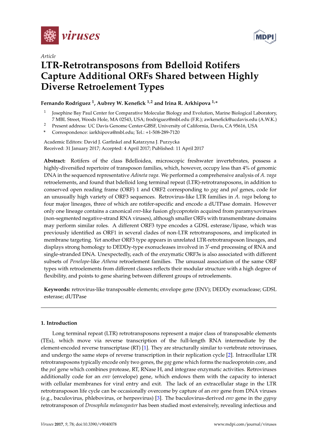 LTR-Retrotransposons from Bdelloid Rotifers Capture Additional Orfs Shared Between Highly Diverse Retroelement Types