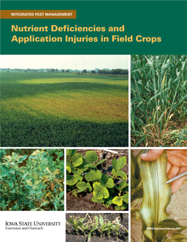 Nutrient Deficiencies and Application Injuries in Field Crops