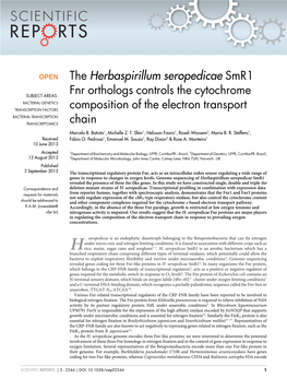 The Herbaspirillum Seropedicae Smr1 Fnr Orthologs Controls The