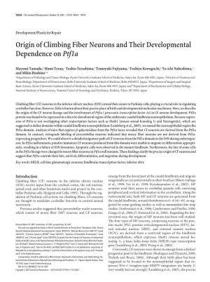 Origin of Climbing Fiber Neurons and Their Developmental Dependence Onptf1a