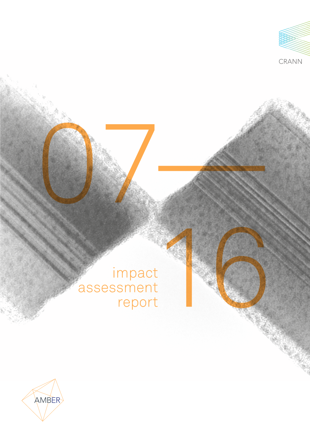 Impact Assessment Report 16 Contents