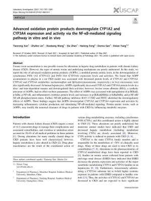 Advanced Oxidation Protein Products Downregulate CYP1A2 and CYP3A4 Expression and Activity Via the NF-ÎºB-Mediated Signaling P