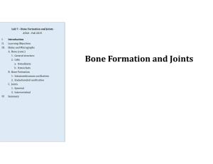 Bone Formation and Joints A560 – Fall 2015